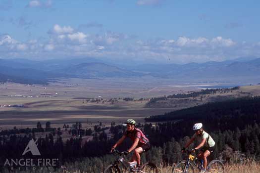 Eagle Wing Suites At Angel Fire Resorts Timeshares